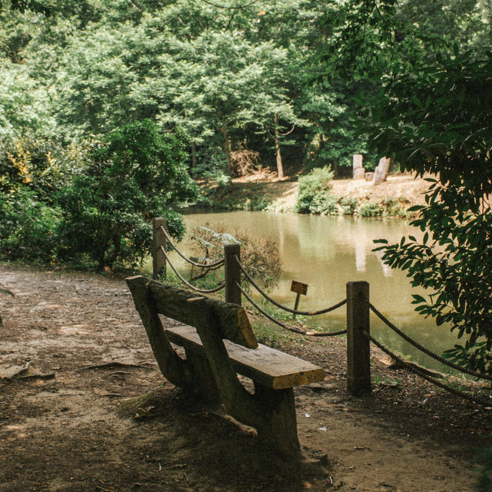 Peaceful park bench representing the importance of rest for content creators